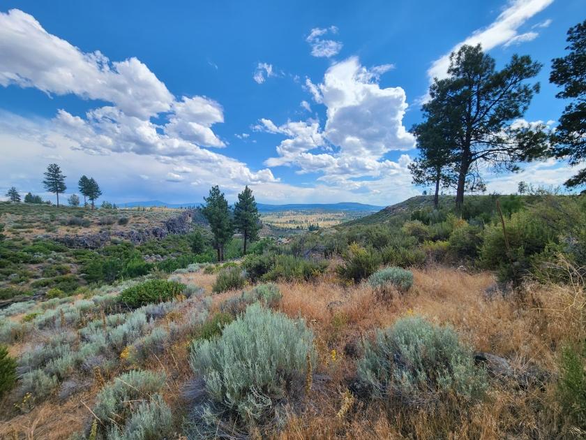 3.75 Acres for Sale in Chiloquin, Oregon