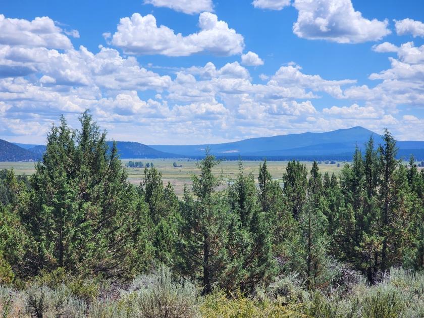 1.79 Acres for Sale in Chiloquin, Oregon