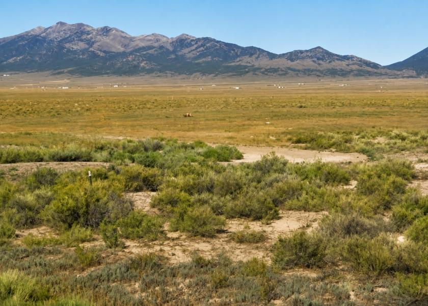 10 Acres for Sale in Montello, Nevada