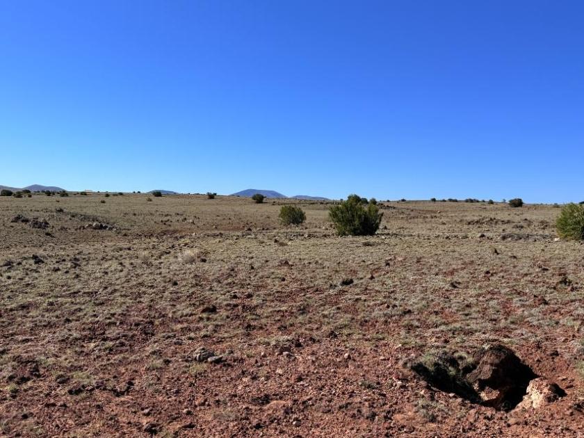 1.04 Acres for Sale in Concho, Arizona