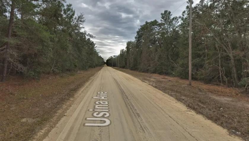 0.22 Acres for Sale in Interlachen, Florida