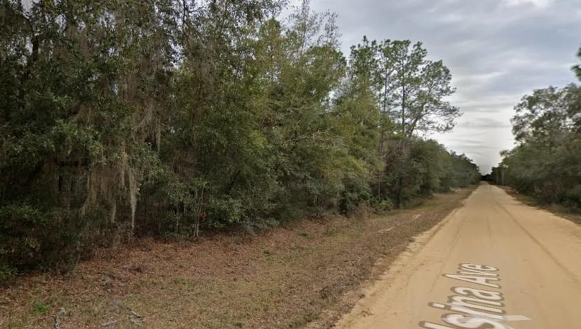 0.22 Acres for Sale in Interlachen, Florida