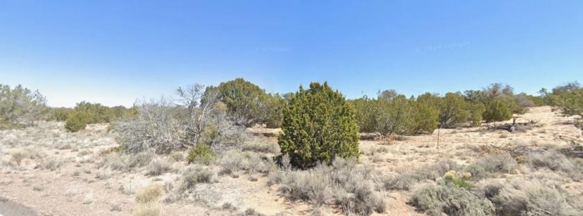 4.36 Acres for Sale in Holbrook, Arizona