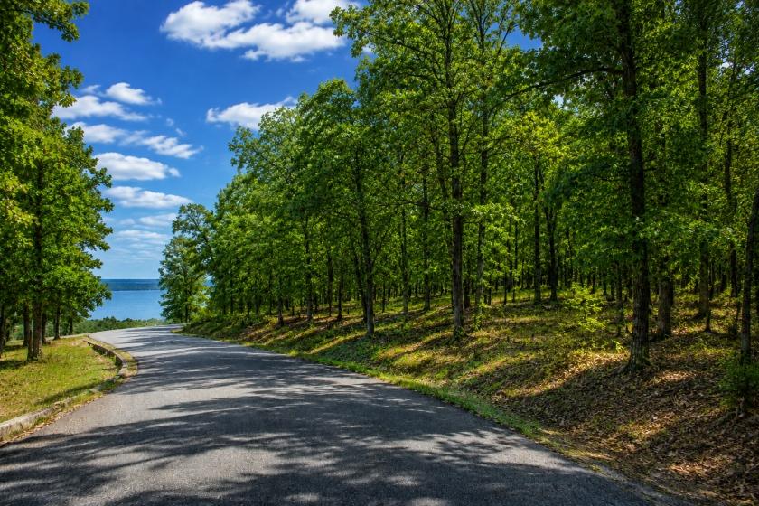 0.41 Acres for Sale in Fairfield Bay, Arkansas