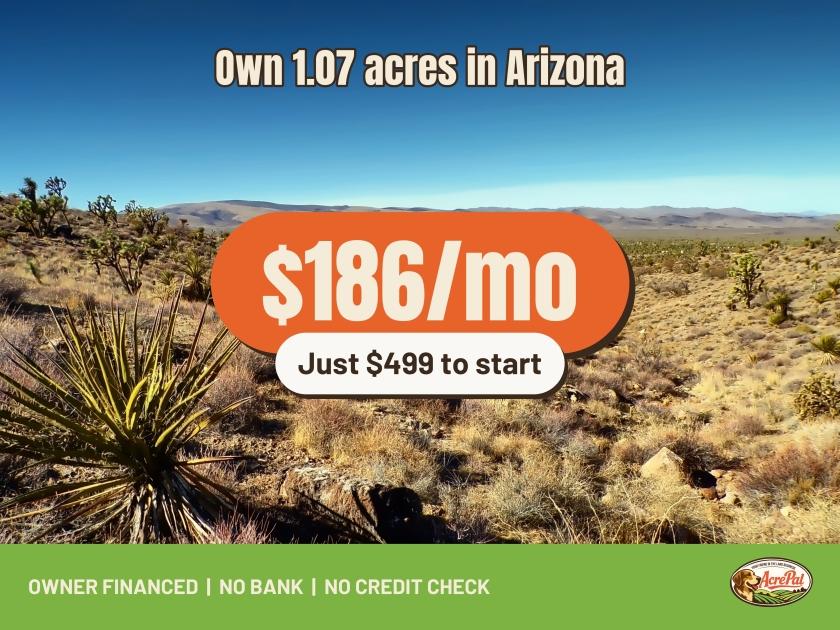 1.07-Acre Residential Land for Sale in Dolan Springs, AZ - $99 | Owner Financing