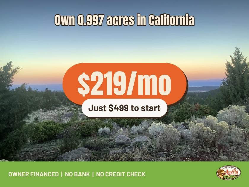 0.997-Acre Residential Land for Sale in California Pines, CA - $499 | Owner Financing