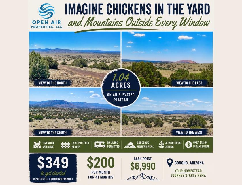 1.04 Acres for Sale in Concho, Arizona
