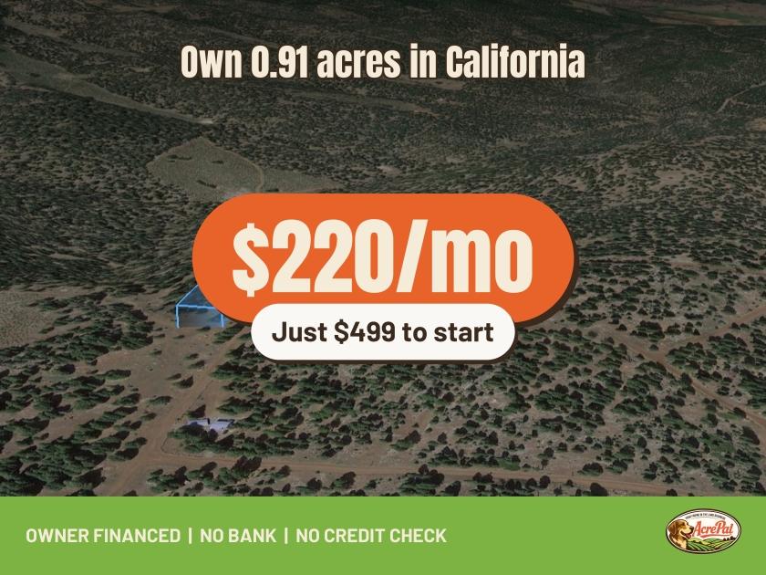 0.91-Acre Residential Land for Sale in California Pines, CA - $499 | Owner Financing