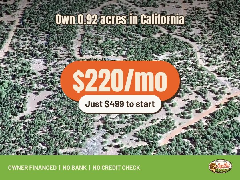0.92-Acre Residential Land for Sale in Alturas, CA - $499 | Owner Financing
