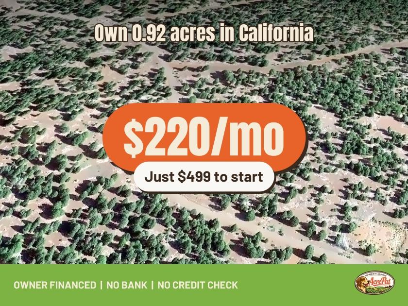 0.96-Acre Residential Land for Sale in Alturas, CA - $499 | Owner Financing