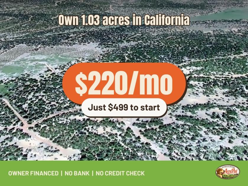 1.03-Acre Residential Land for Sale in Alturas, CA - $499 | Owner Financing