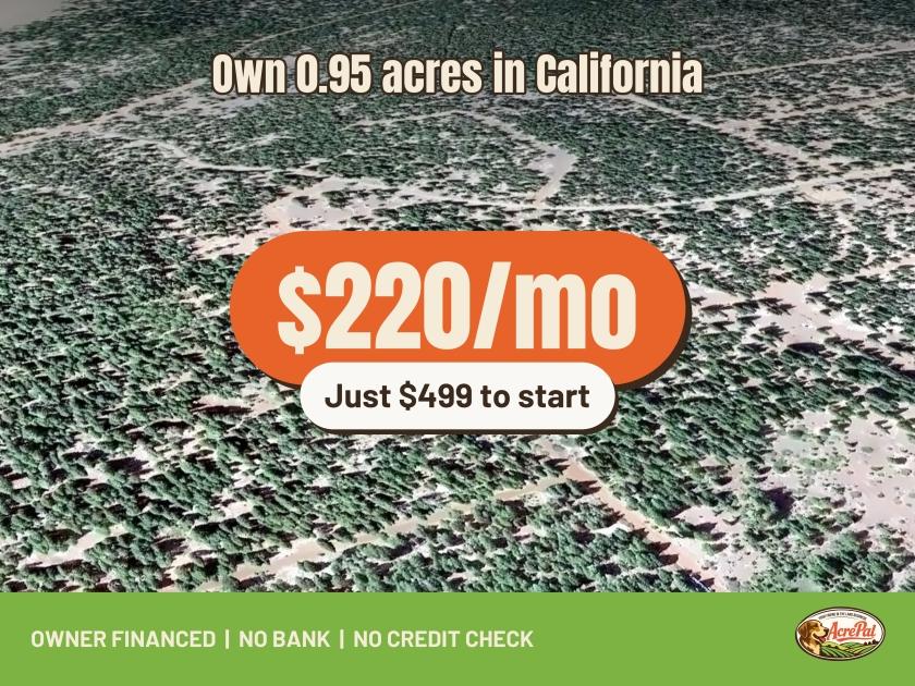 0.95-Acre Residential Land for Sale in Alturas, CA - $499 | Owner Financing