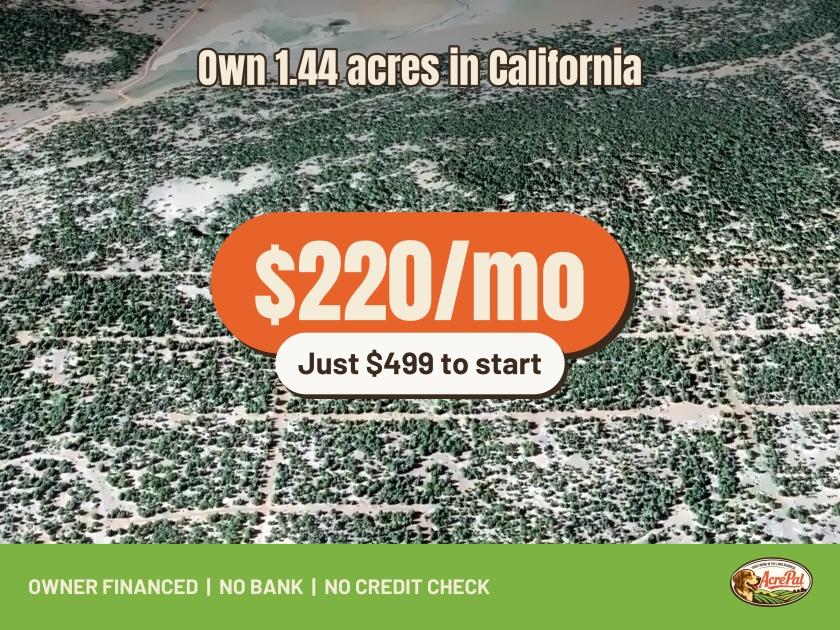 1.44-Acre Residential Land for Sale in Alturas, CA - $499 | Owner Financing