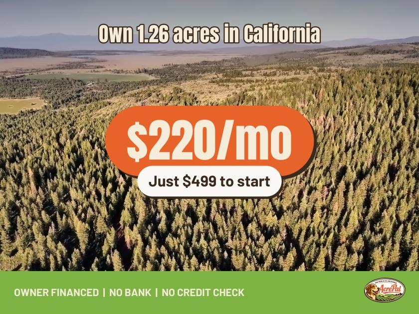 1-Acre Residential Land for Sale in Alturas, CA - $249 | Owner Financing