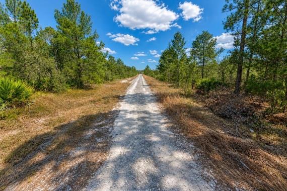 Lake Placid, FL Land for Sale: 0.23 Acres with Owner Financing Available