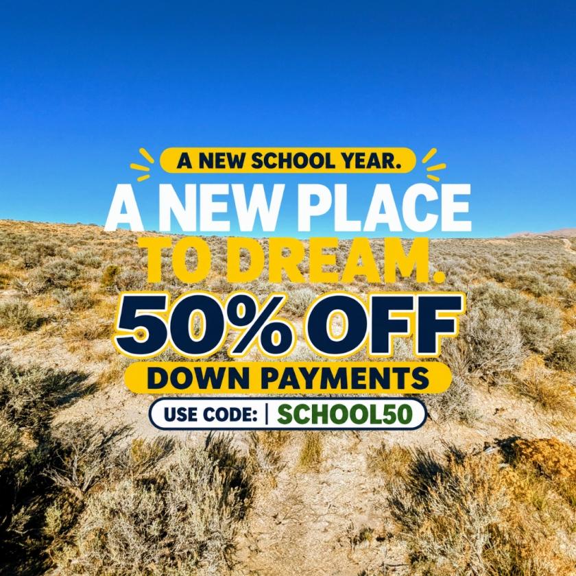 40 Acres for Sale in Wells, Nevada