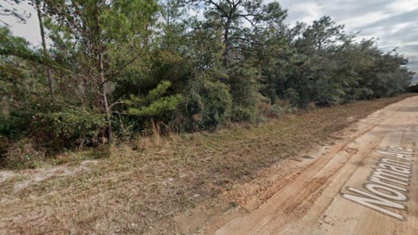 0.21 Acres for Sale in Interlachen, Florida