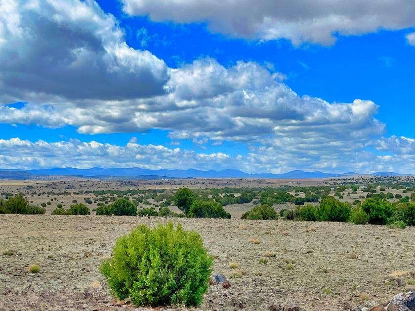 1.3 Acres for Sale in Concho, Arizona