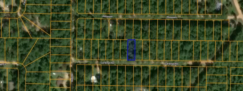 0.14 Acres for Sale in Williford, Arkansas