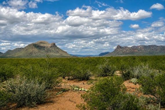 Mile High, TX Land for Sale: 10 Acres with Dirt Road Easement