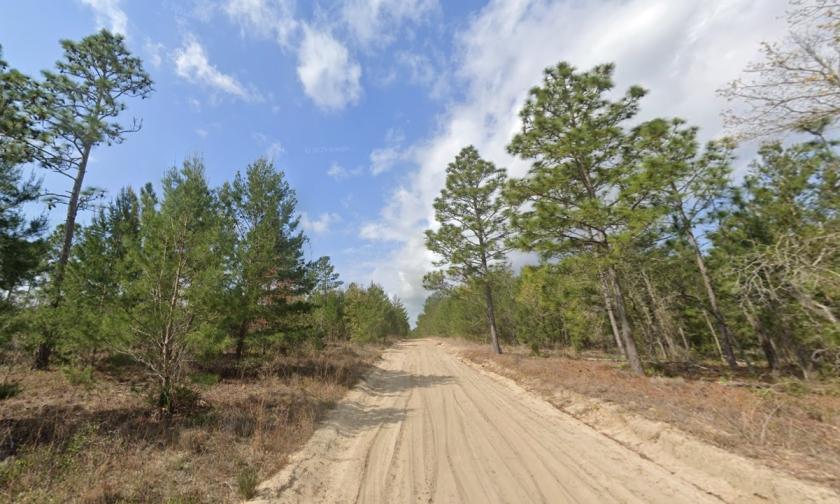 1.10 Acres for Sale in Interlachen, Florida
