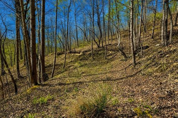 Hinkle, KY Land for Sale: 13 Acres with Dirt Road