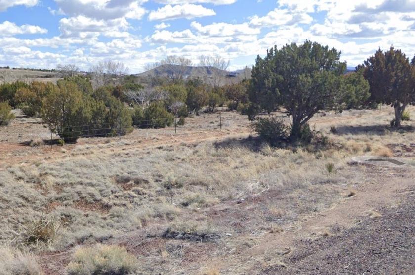 0.46 Acres for Sale in Concho, Arizona
