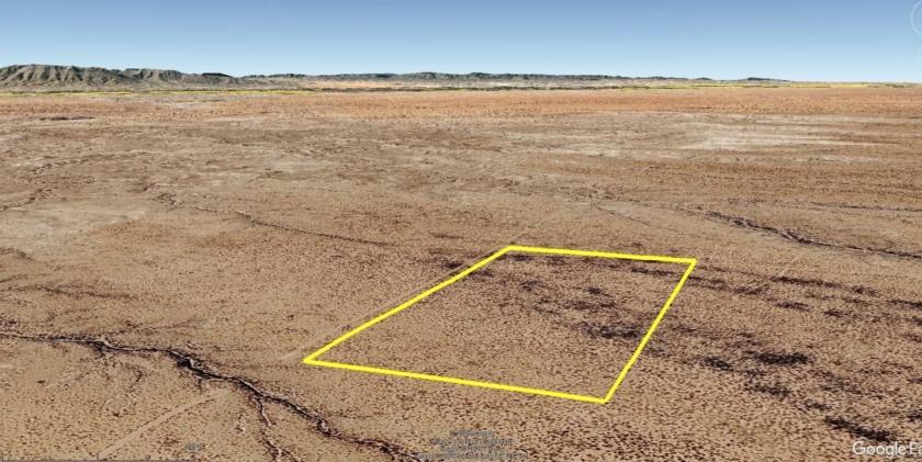 20.54 Acres for Sale in Fort Hancock, Texas