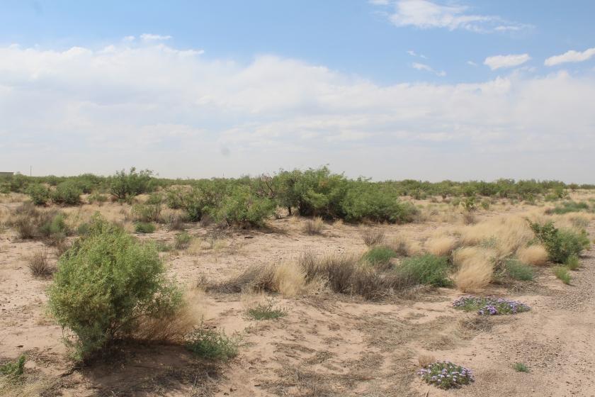 5 Acres for Sale in Sunshine, New Mexico