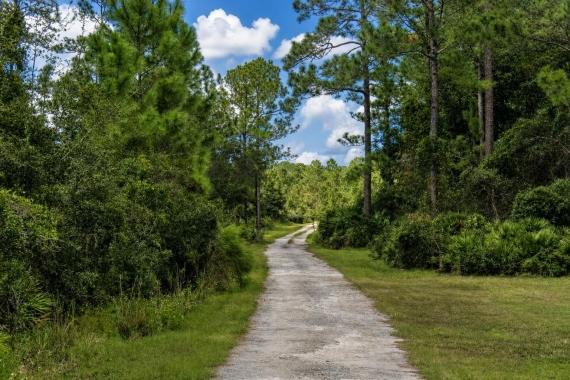 Palatka, FL Land for Sale: 0.3 Acres with Owner Financing Available