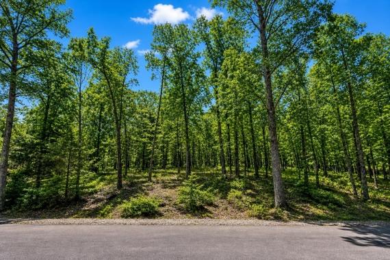0.33 Acres of Residential Land for Sale in Greer Lake, Arkansas, with Paved Road Access