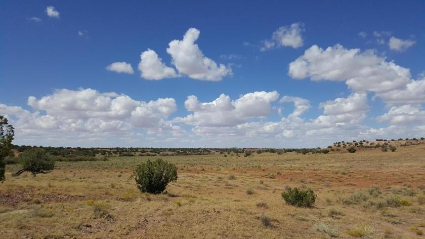5.06 Acres for Sale in Concho, Arizona