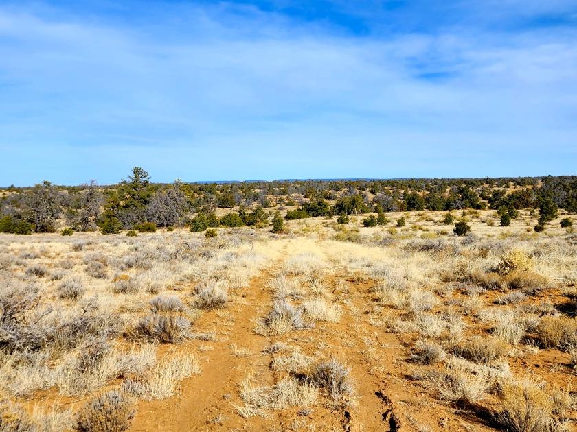 10 Acres for Sale in Ramah, New Mexico