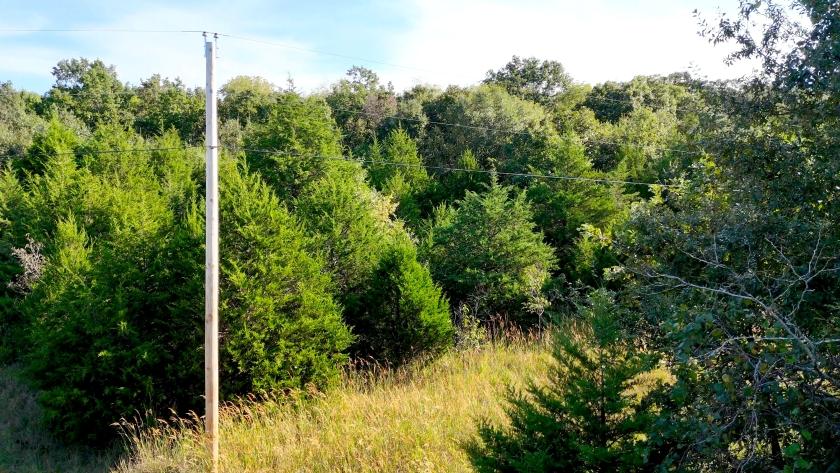 3.8 Acres for Sale in Hastain, Missouri