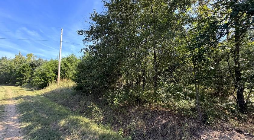4.2 Acres for Sale in Hastain, Missouri