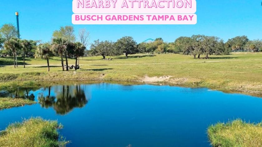0.22 Acres for Sale in Interlachen, Florida
