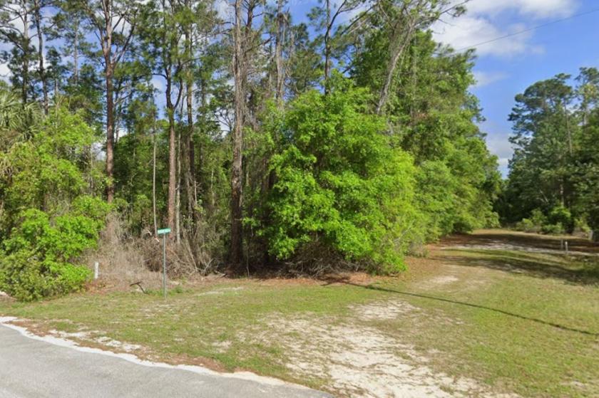 0.20 Acres for Sale in Satsuma, Florida