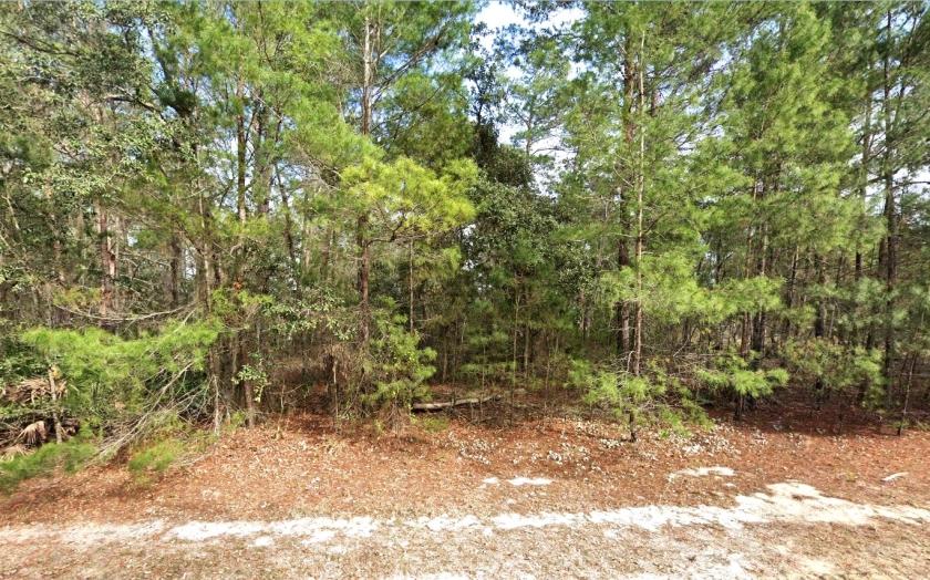 0.21 Acres for Sale in Interlachen, Florida