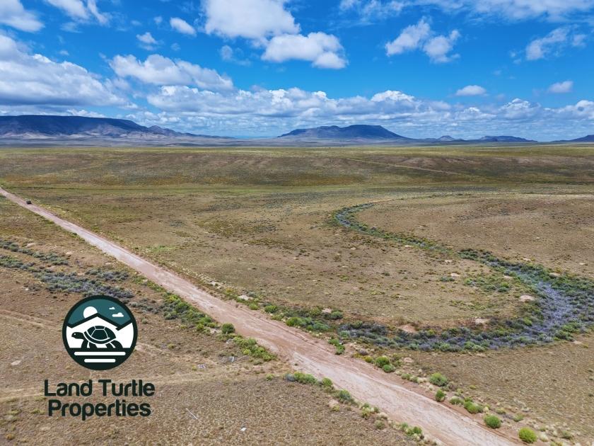 5.01 Acres for Sale in Alamosa, Colorado