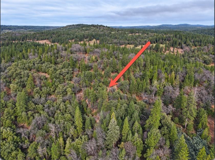 10 Acres for Sale in Garden Valley, California