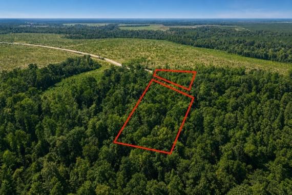 QUINCY, FL Land for Sale: 3.47 Acres with Paved Road Access