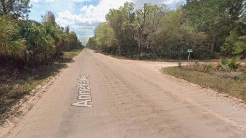 0.22-Acre Residential Land for Sale in Interlachen, FL - $199/mo Owner Financing