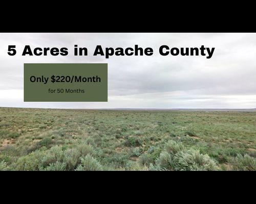 5-Acre Residential Land for Sale in Concho, AZ - $219/mo Owner Financing