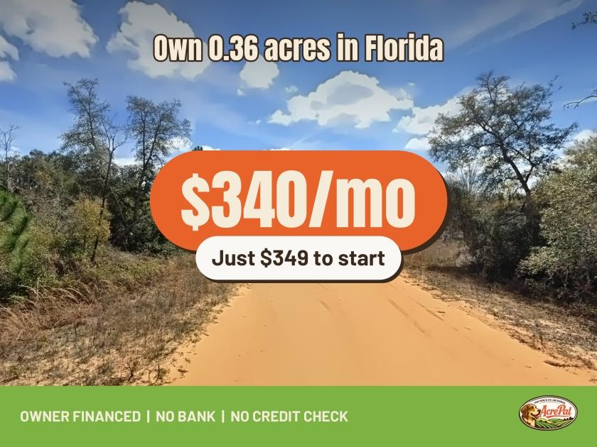0.36-Acre Residential Land for Sale in Interlachen, FL - $99 | Owner Financing