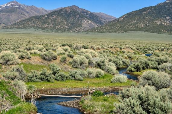 API Smoke Test: 80 Acres for Sale in Valmy (Owner Finance $599.00 a month), Nevada
