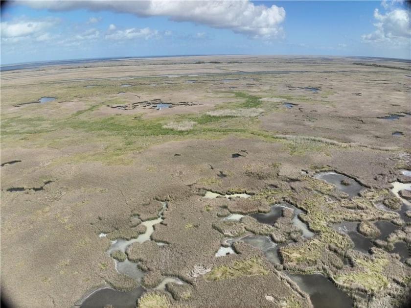 50 Acres for Sale in St Bernard, Louisiana