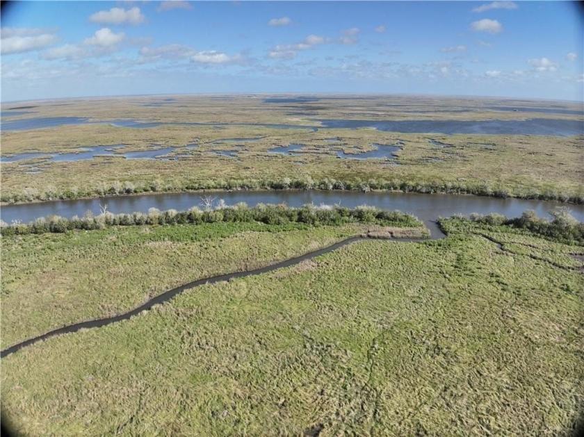 30 Acres for Sale in St Bernard, Louisiana