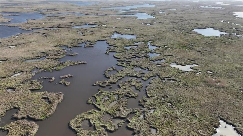 20 Acres for Sale in St Bernard, Louisiana