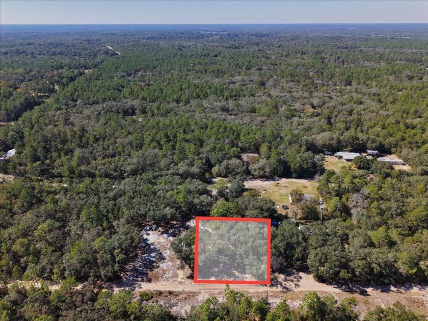 0.30 Acres for Sale in Florahome, Florida