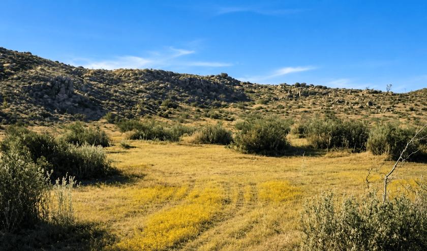 5.18-Acre Agricultural Land for Sale in Lancaster, CA - $15,000 | Owner Financing